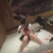 ヒメ日記 2025/03/17 11:44 投稿 いお フィエスタ