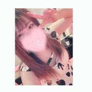 ヒメ日記 2025/06/02 14:52 投稿 もね 萌えカワ