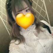 ヒメ日記 2025/07/11 11:02 投稿 もね 萌えカワ