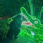 ヒメ日記 2025/12/14 08:12 投稿 もね 萌えカワ