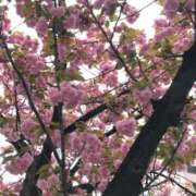 ヒメ日記 2026/03/10 13:28 投稿 えりな 熟女の風俗最終章 高崎店