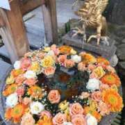 ヒメ日記 2026/03/12 12:48 投稿 えりな 熟女の風俗最終章 高崎店