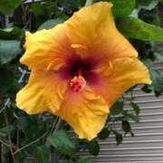 えりな 感謝です٩(๑ơ ڡơ๑)۶♥ 熟女の風俗最終章 高崎店