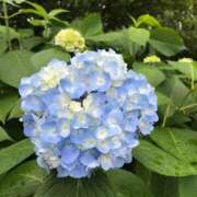 ヒメ日記 2026/06/06 13:28 投稿 えりな 熟女の風俗最終章 高崎店