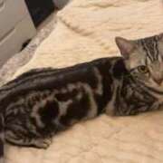 ヒメ日記 2025/05/29 21:20 投稿 すずか One More奥様 大宮店