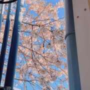 ヒメ日記 2024/12/27 15:16 投稿 あすか ちゃんこ東大阪 布施・長田店