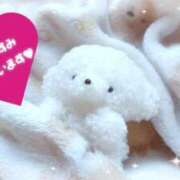 ヒメ日記 2025/05/25 15:02 投稿 さな 熟女の風俗最終章 新宿店