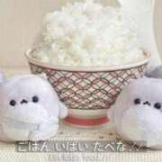 ヒメ日記 2025/09/11 08:42 投稿 さな 熟女の風俗最終章 新宿店