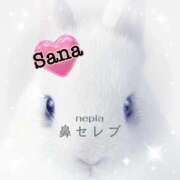 ヒメ日記 2026/02/24 22:32 投稿 さな 熟女の風俗最終章 新宿店