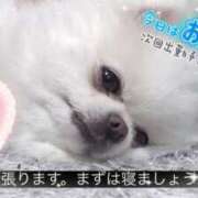 ヒメ日記 2025/01/12 06:42 投稿 さな 熟女の風俗最終章 池袋店