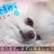 ヒメ日記 2025/01/24 08:31 投稿 さな 熟女の風俗最終章 池袋店