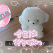 ヒメ日記 2025/04/24 13:32 投稿 さな 熟女の風俗最終章 池袋店