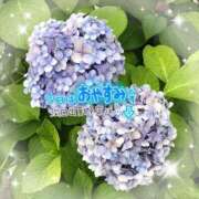 ヒメ日記 2025/06/24 12:10 投稿 さな 熟女の風俗最終章 池袋店