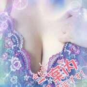 ヒメ日記 2025/07/07 16:42 投稿 さな 熟女の風俗最終章 池袋店