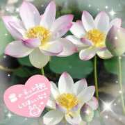 ヒメ日記 2025/11/17 15:19 投稿 さな 熟女の風俗最終章 池袋店