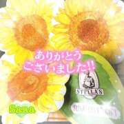 ヒメ日記 2026/07/05 07:59 投稿 さな 熟女の風俗最終章 池袋店