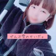 ヒメ日記 2024/12/29 19:39 投稿 きょうか チェックイン素人専門大人女子