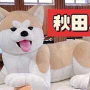 ヒメ日記 2025/02/10 13:29 投稿 きょうか チェックイン素人専門大人女子