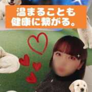 ヒメ日記 2025/02/13 21:09 投稿 きょうか チェックイン素人専門大人女子