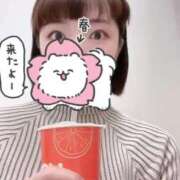 ヒメ日記 2025/04/16 15:49 投稿 きょうか チェックイン素人専門大人女子