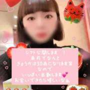 ヒメ日記 2025/04/17 21:39 投稿 きょうか チェックイン素人専門大人女子