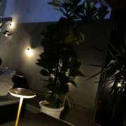 ヒメ日記 2025/07/01 16:14 投稿 井上 MadameRest(マダムレスト)