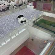 ヒメ日記 2025/07/19 11:48 投稿 井上 MadameRest(マダムレスト)