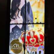 ヒメ日記 2024/12/13 15:04 投稿 しぐれ アラカルト