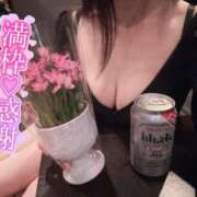 ヒメ日記 2025/02/22 12:02 投稿 しぐれ アラカルト