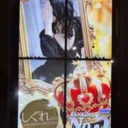 ヒメ日記 2025/03/14 17:02 投稿 しぐれ アラカルト