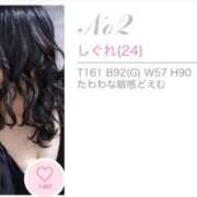 ヒメ日記 2025/04/05 15:03 投稿 しぐれ アラカルト