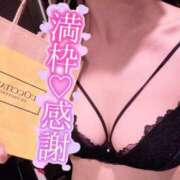 ヒメ日記 2025/04/08 12:02 投稿 しぐれ アラカルト