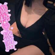 ヒメ日記 2025/04/12 12:03 投稿 しぐれ アラカルト