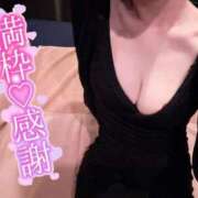 ヒメ日記 2025/04/19 12:02 投稿 しぐれ アラカルト