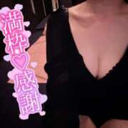 ヒメ日記 2025/05/21 12:01 投稿 しぐれ アラカルト