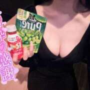 ヒメ日記 2025/06/28 12:01 投稿 しぐれ アラカルト