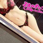 ヒメ日記 2025/11/20 15:02 投稿 しぐれ アラカルト