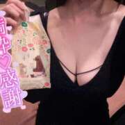 ヒメ日記 2025/11/21 12:02 投稿 しぐれ アラカルト