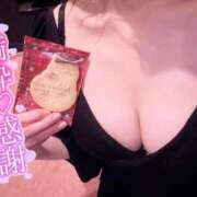 ヒメ日記 2025/11/22 12:02 投稿 しぐれ アラカルト