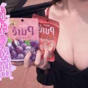 ヒメ日記 2026/04/05 12:02 投稿 しぐれ アラカルト