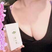 ヒメ日記 2026/04/12 12:02 投稿 しぐれ アラカルト