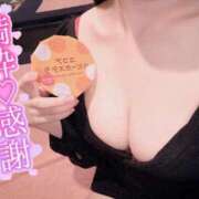 ヒメ日記 2026/04/17 12:02 投稿 しぐれ アラカルト