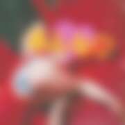 ヒメ日記 2025/09/27 00:15 投稿 あんな さくらん