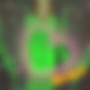 ヒメ日記 2025/12/23 18:50 投稿 あんな さくらん