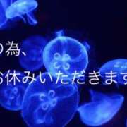 ヒメ日記 2026/01/27 17:03 投稿 あんな さくらん