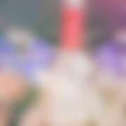 ヒメ日記 2026/02/19 03:34 投稿 あんな さくらん