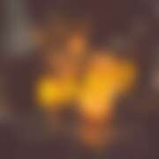 ヒメ日記 2026/02/23 12:17 投稿 あんな さくらん