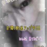 ヒメ日記 2024/12/12 01:25 投稿 りょう 肉体の門