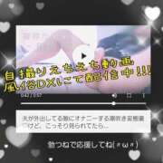 ヒメ日記 2025/03/07 02:17 投稿 りょう 肉体の門