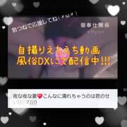 ヒメ日記 2025/07/10 14:46 投稿 りょう 肉体の門